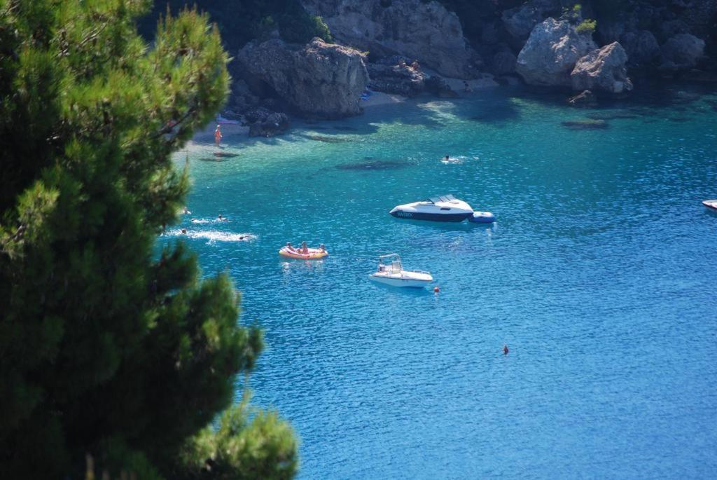 Romic Omis
